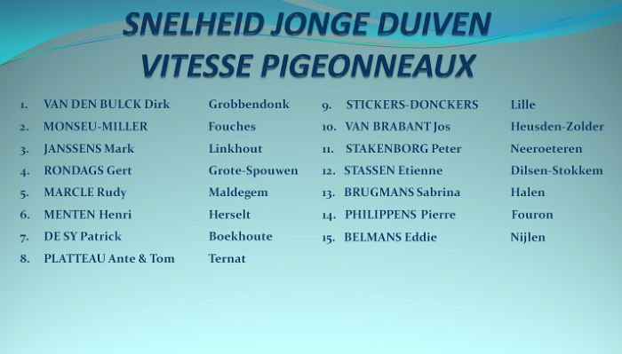 jonge duiven snelheid